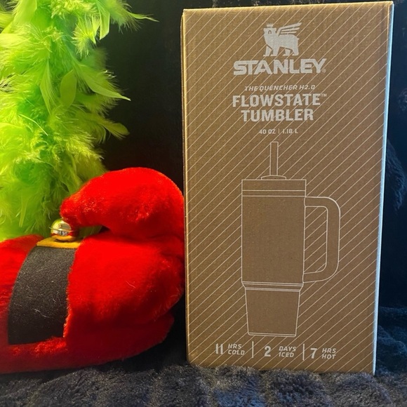 NEW! Grinch Stanley - Picture 8 of 9